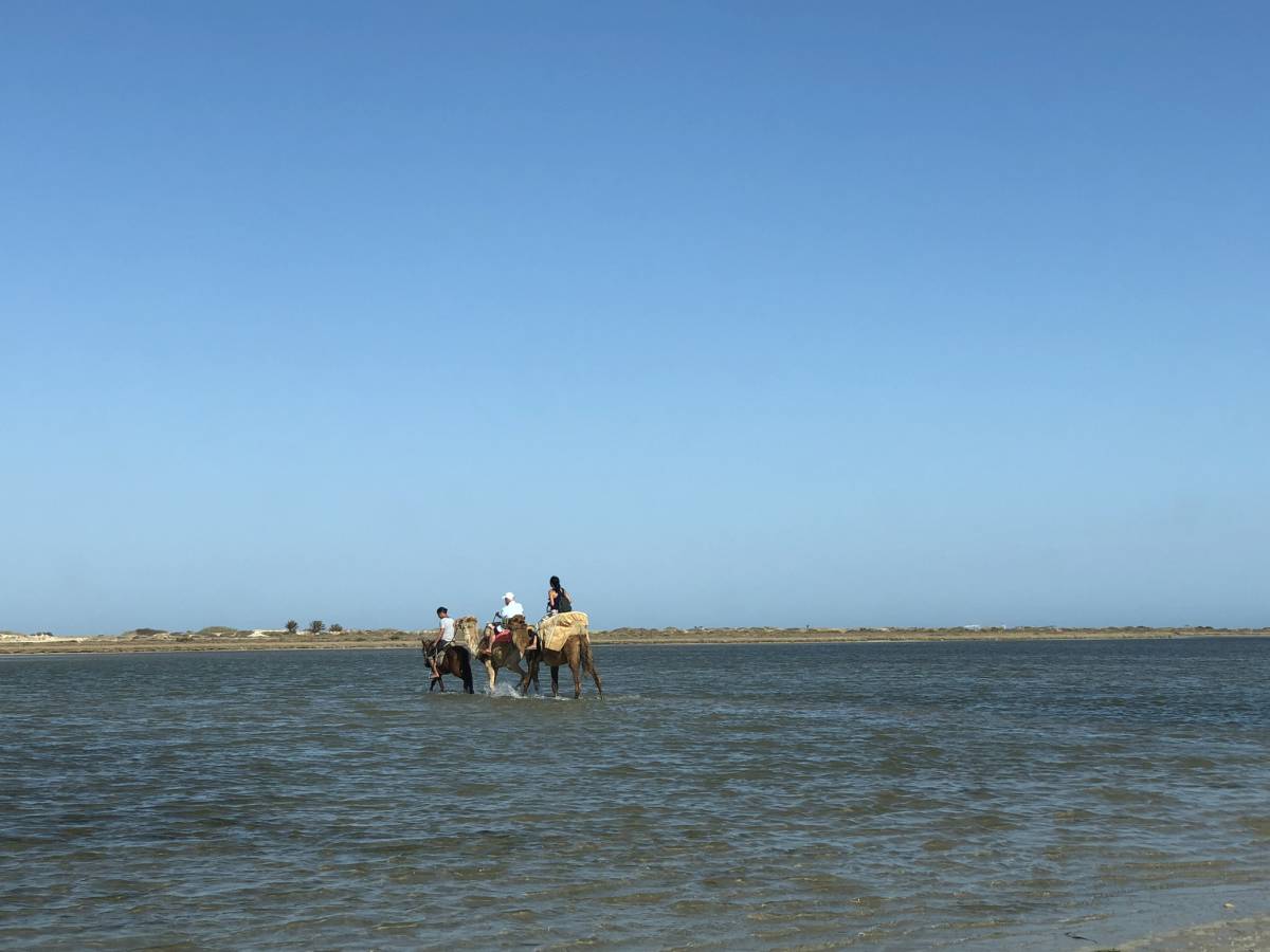 Ausflug zur Blauen Lagune auf Djerba | Reiselurch.de