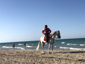 Ausritt am Strand von Djerba