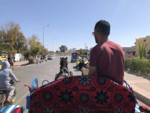 Kutschfahrt auf Djerba