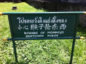 Hinweisschild in Lop Buri: Beware of monkeys snatching purse