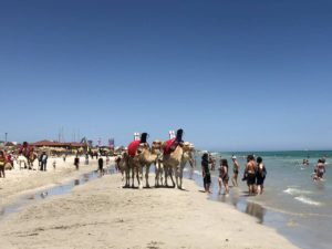 Strand auf Djerba in Tunesien
