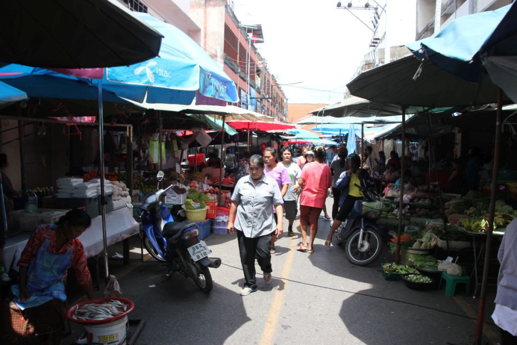 Tagesausflug nach Surat Thani | Reiselurch.de